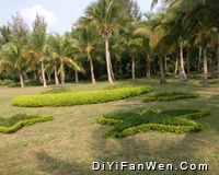 興隆熱帶植物園圖片