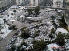 家鄉小區公園雪景