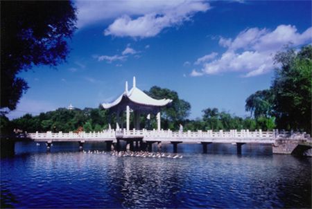 太陽島公園圖片