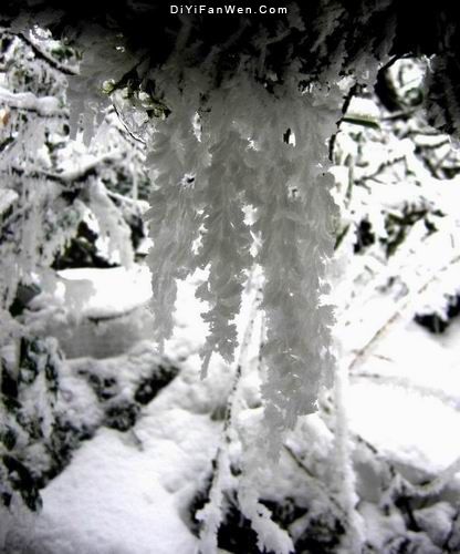 西嶺雪山圖片