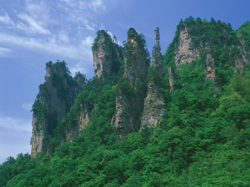 天子山風情圖片