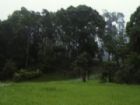 福山植物園