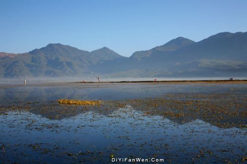 麗江拉市海高原濕地圖片