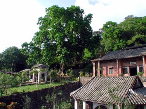 謝魯山莊風景區圖片