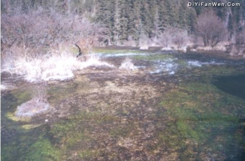 九寨溝黃龍圖片