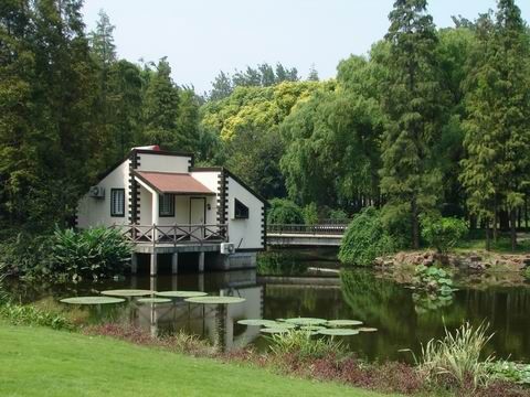 共青森林公園圖片