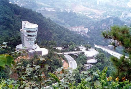 南山植物園圖片
