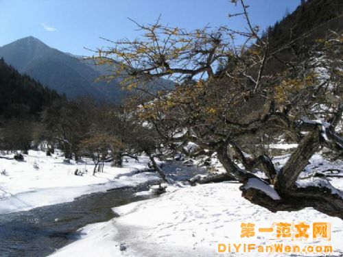 雅安二圖片