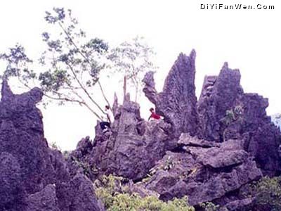 仙安石林圖片