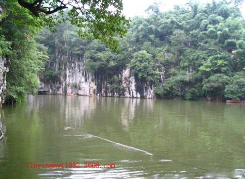 南崑山國家森林公園圖片