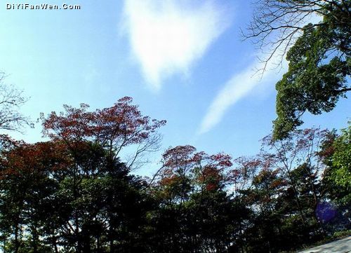 廣東從化石門紅葉美景圖片