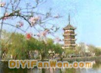 文峰塔圖片