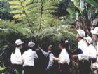 瓜溪桫欏自然保護區