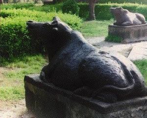 洪澤湖鎮水鐵牛圖片