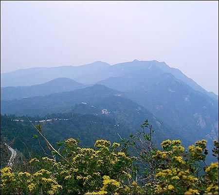 雙峰山森林公園圖片