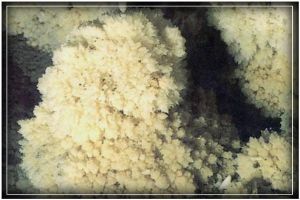 北京石花洞組圖（4）圖片