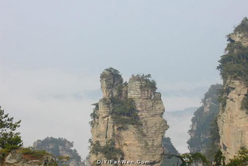 楊家界風景圖片