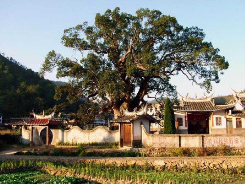 九仙山圖片