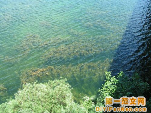 多瑙河圖片