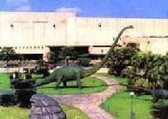 自貢恐龍博物館圖片