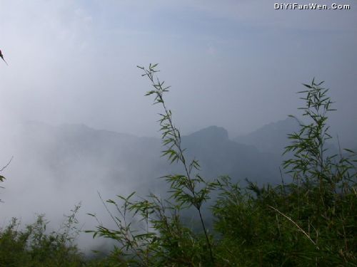 老界嶺風景區圖片