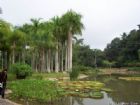 熱帶植物園