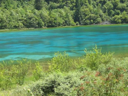 四川季節海圖片
