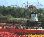 南山公園圖片