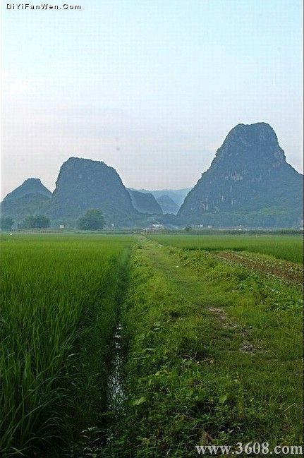 廣東英西峰林圖片
