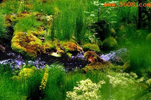 九寨溝風景神仙池圖片