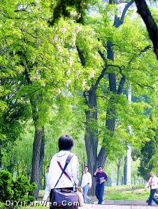 勞動公園圖片