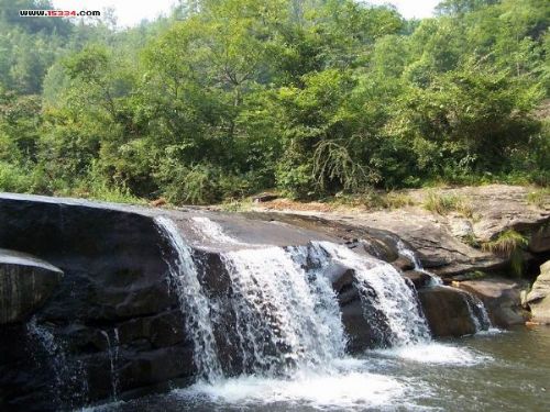 石柱黃水森林公園圖圖片