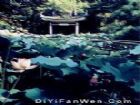 盧廉若公園