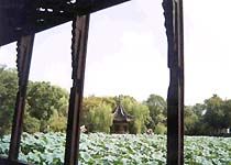 小蓮莊圖片