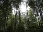 濮塘風景區
