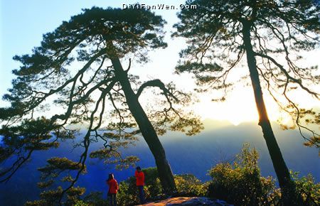 大明山圖片