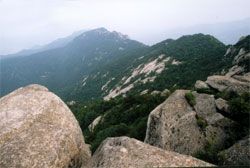 蒙山國家森林公園圖片