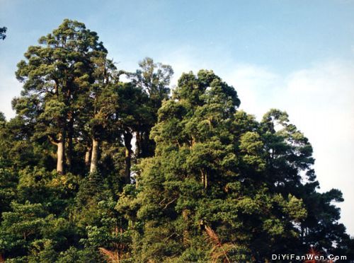 茫盪山風景名勝區圖片