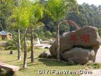 三明格氏栲國家森林公園圖片