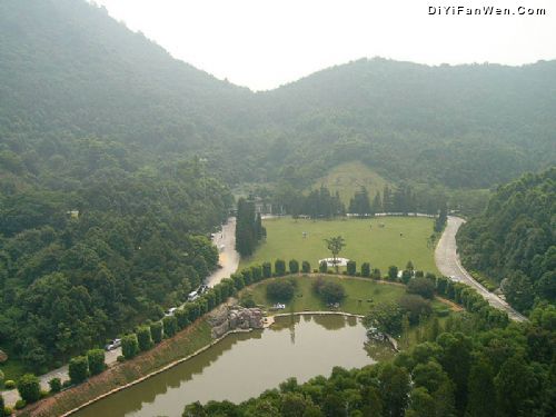 仙湖植物園圖片