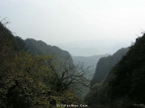 四川瓦屋山圖片