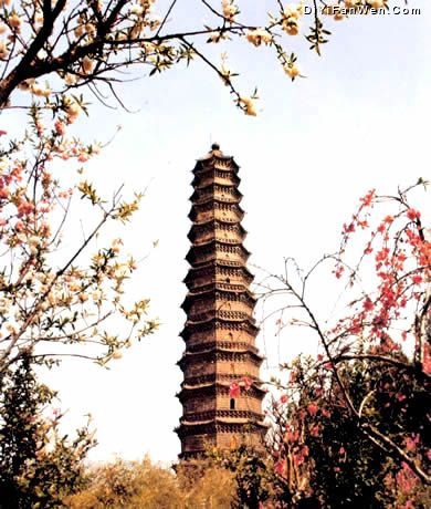 鐵塔公園圖片