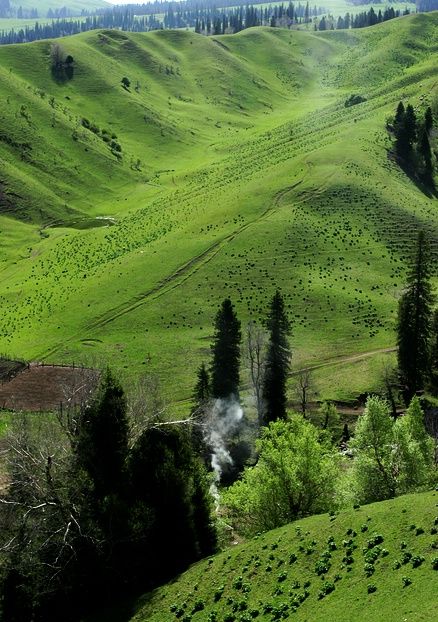 新疆伊犁那拉提大草原圖片