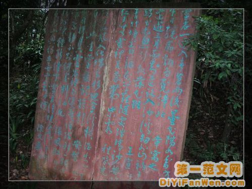 萬年寺、報國寺圖片
