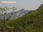 鳳凰山