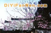 許國石坊圖片