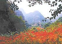 龍慶峽圖片