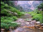 九龍潭自然風景