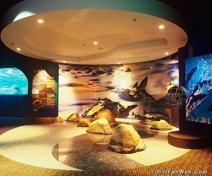 海洋水族館圖片