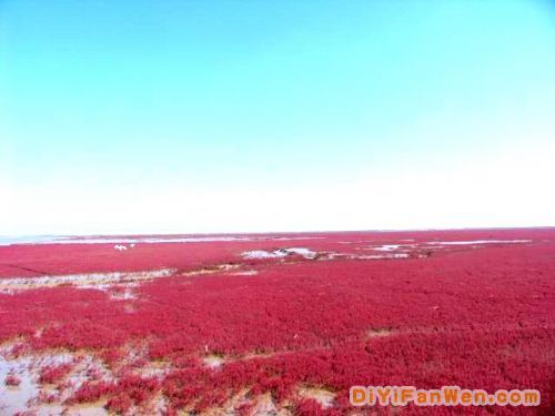 遼寧盤錦紅海灘美景圖片